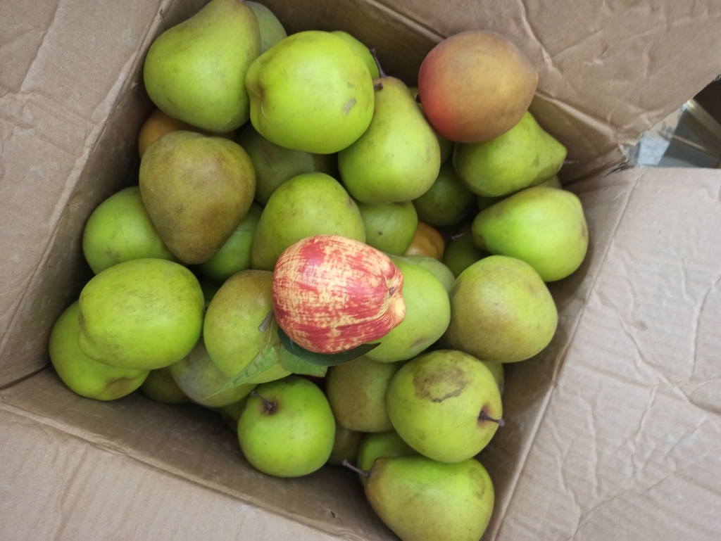 Pomme artificiel