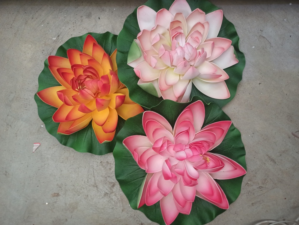 Nénuphar GM